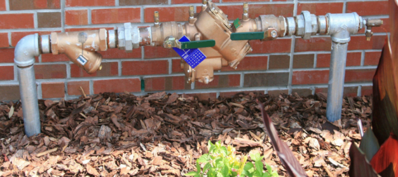 Backflow-Image